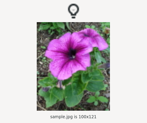 A themed icon above a photograph in a Gtk.Picture
